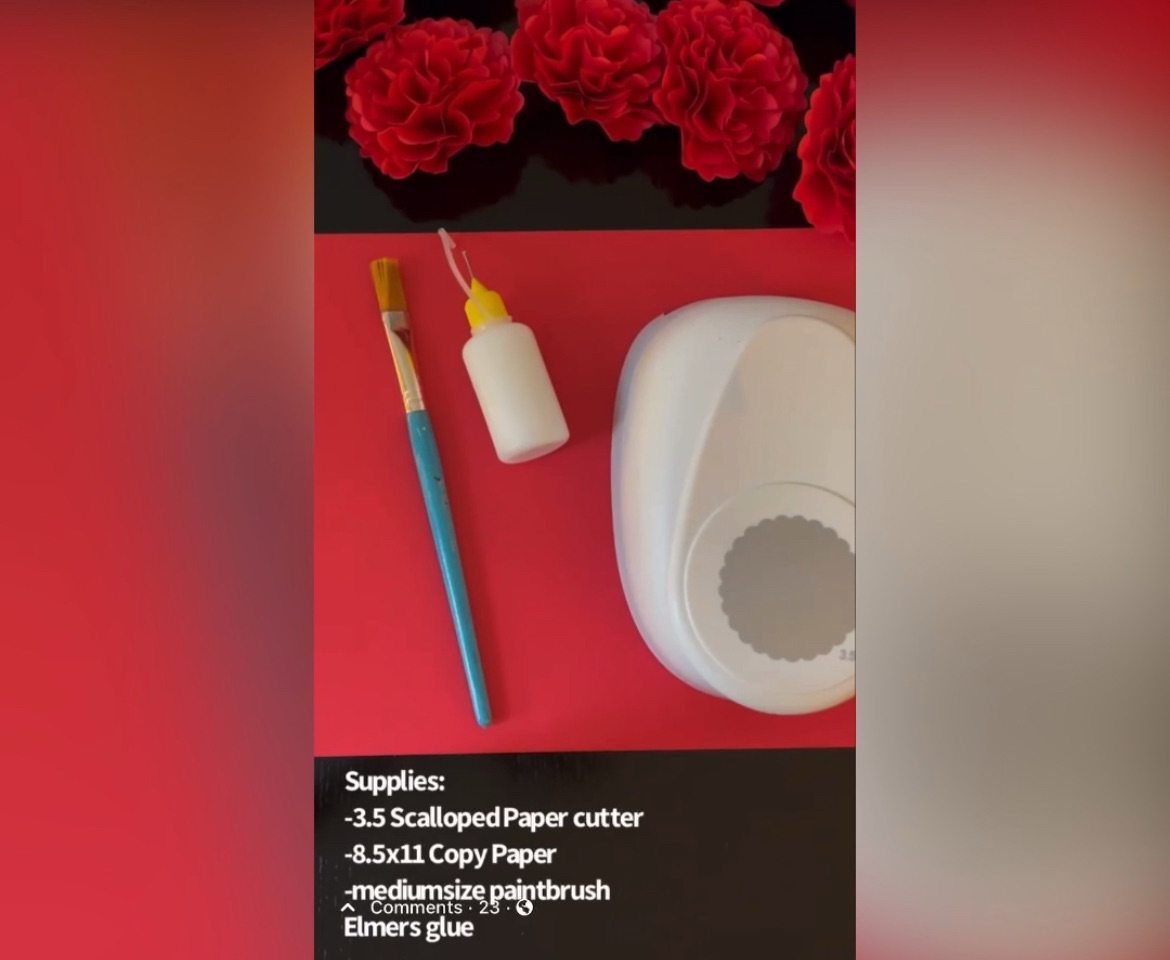 Paper Carnations